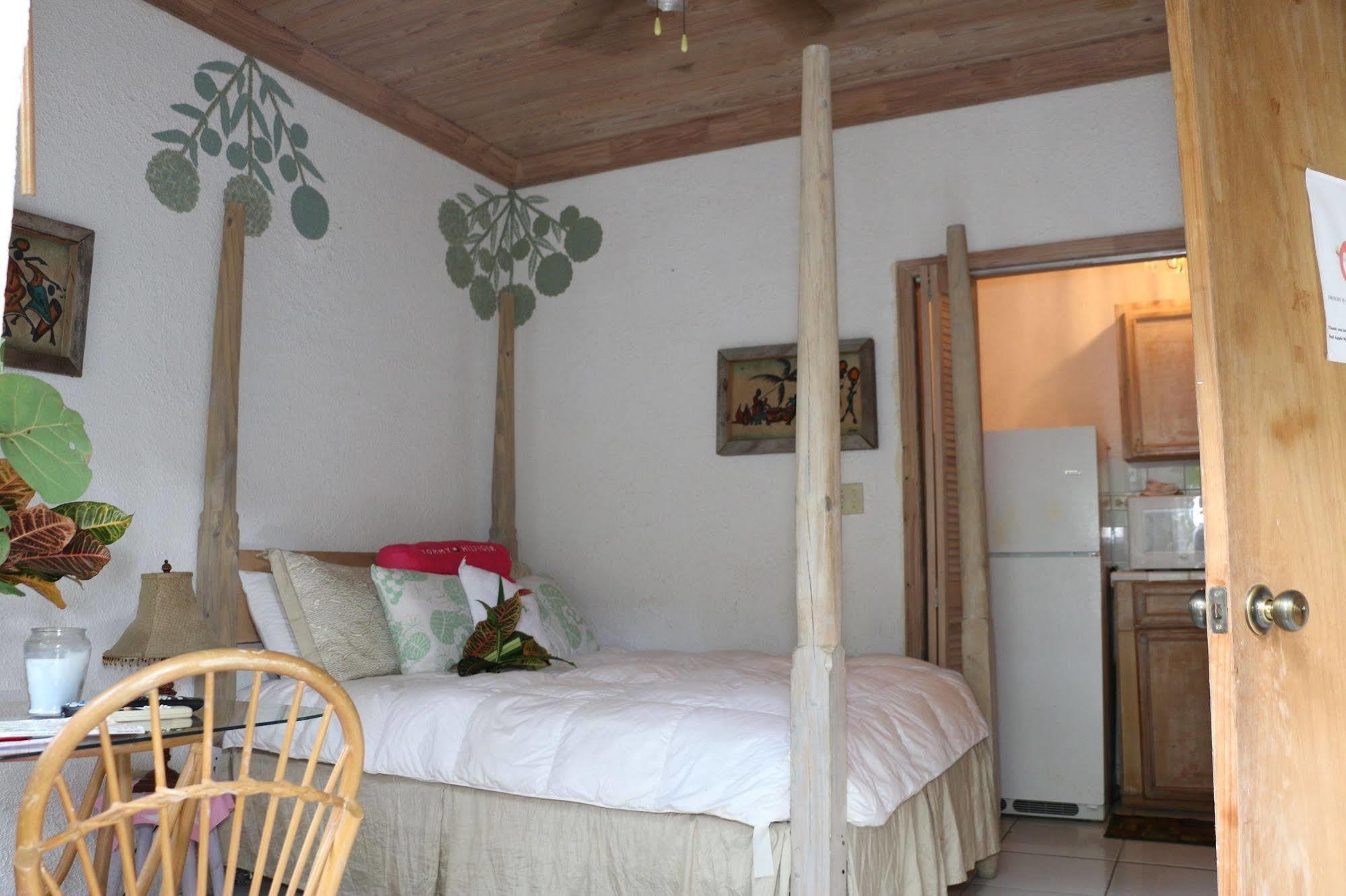 The Sugar Apple Lodging Dunmore Town Luaran gambar