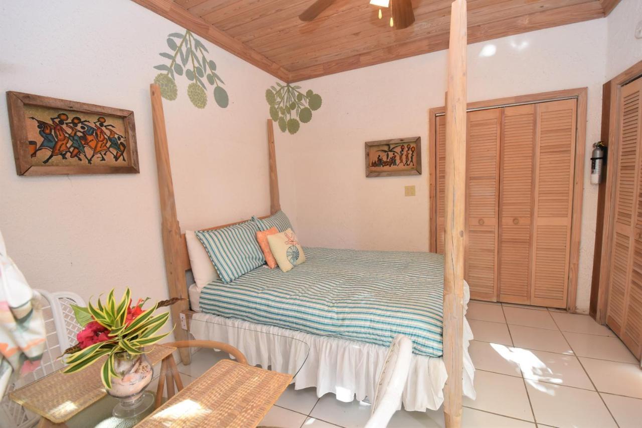 The Sugar Apple Lodging Dunmore Town Luaran gambar