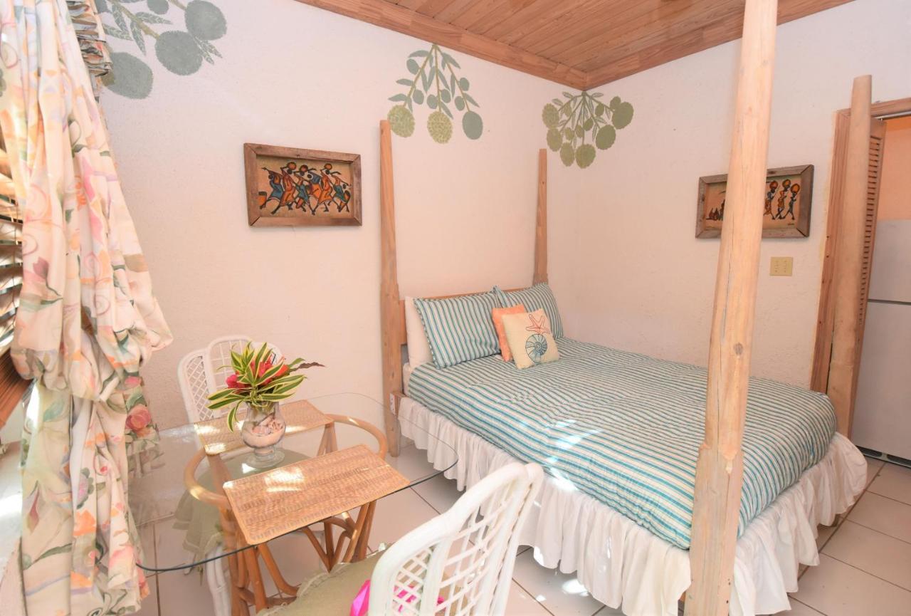 The Sugar Apple Lodging Dunmore Town Luaran gambar