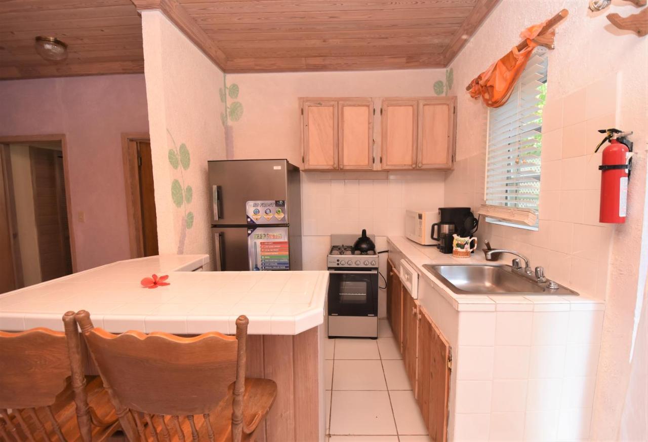 The Sugar Apple Lodging Dunmore Town Luaran gambar