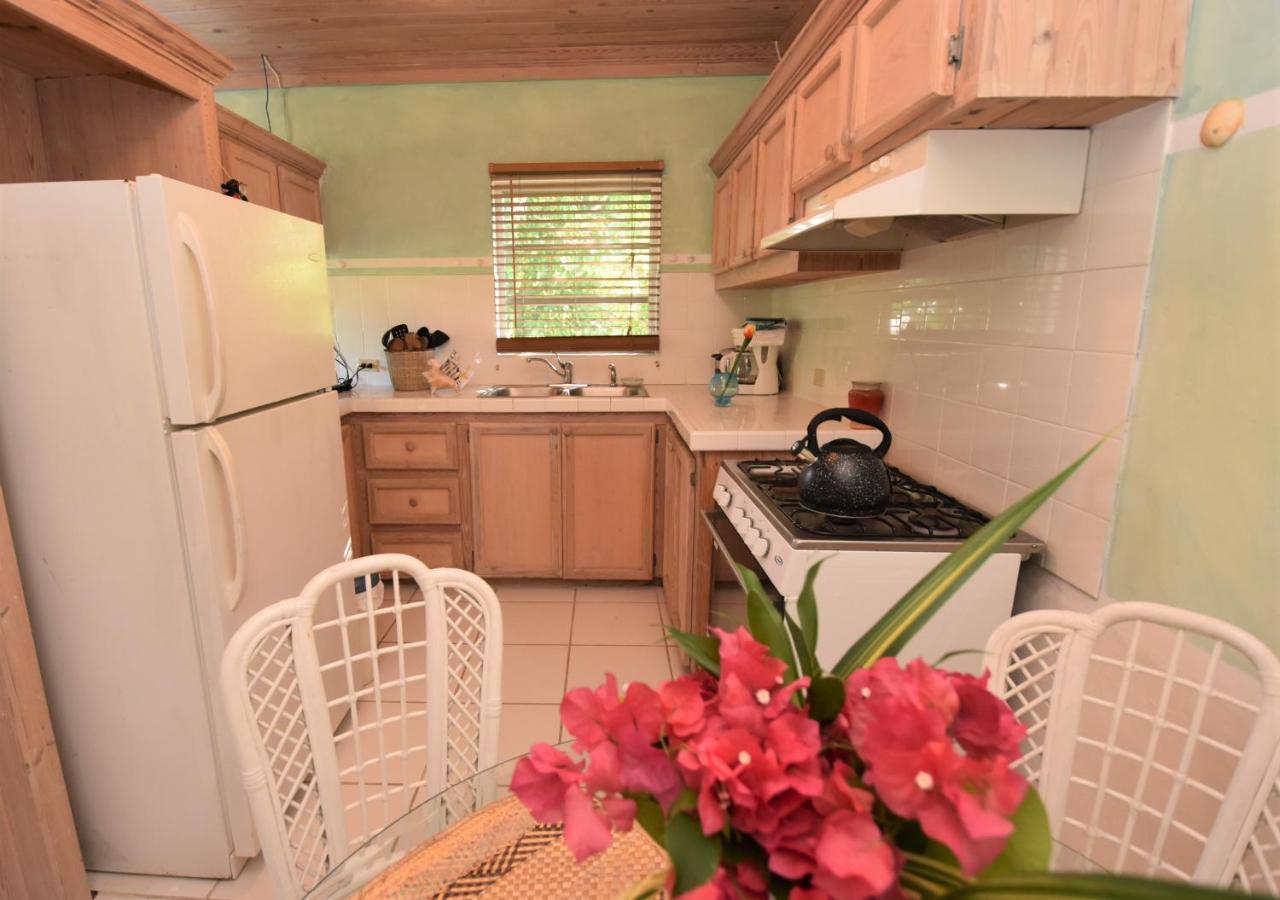 The Sugar Apple Lodging Dunmore Town Luaran gambar